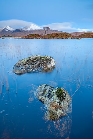 This picture has been taken duringa A quite and cold morning at Loch na h-Achlaise