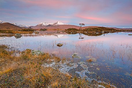 Beautiful pink colors in the sky at dawn