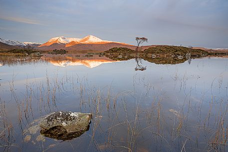 The first light in the morning at Black Mount