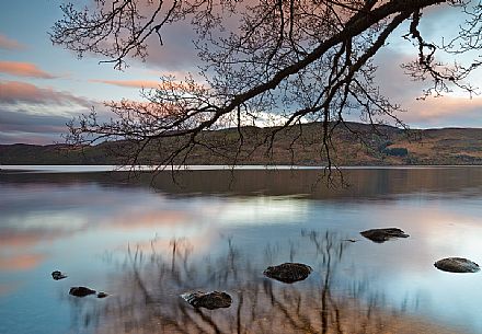 The reflection of trees branches at Loch Ness