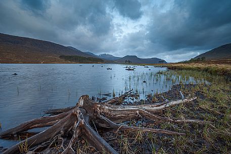 These roots of dead trees can be seen only with low tide at loch Droma. During that day in particular the dramatic sky gave a dark mood to the all scenary