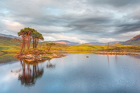 This fascinating isle of scots pines was reflected  in the lake at sunset time