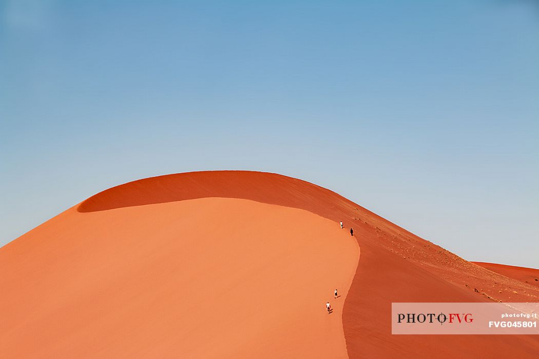 Group of small human figures climbing the Dune 45 to the top, Namib Naukluft National Park, Namibia, Africa