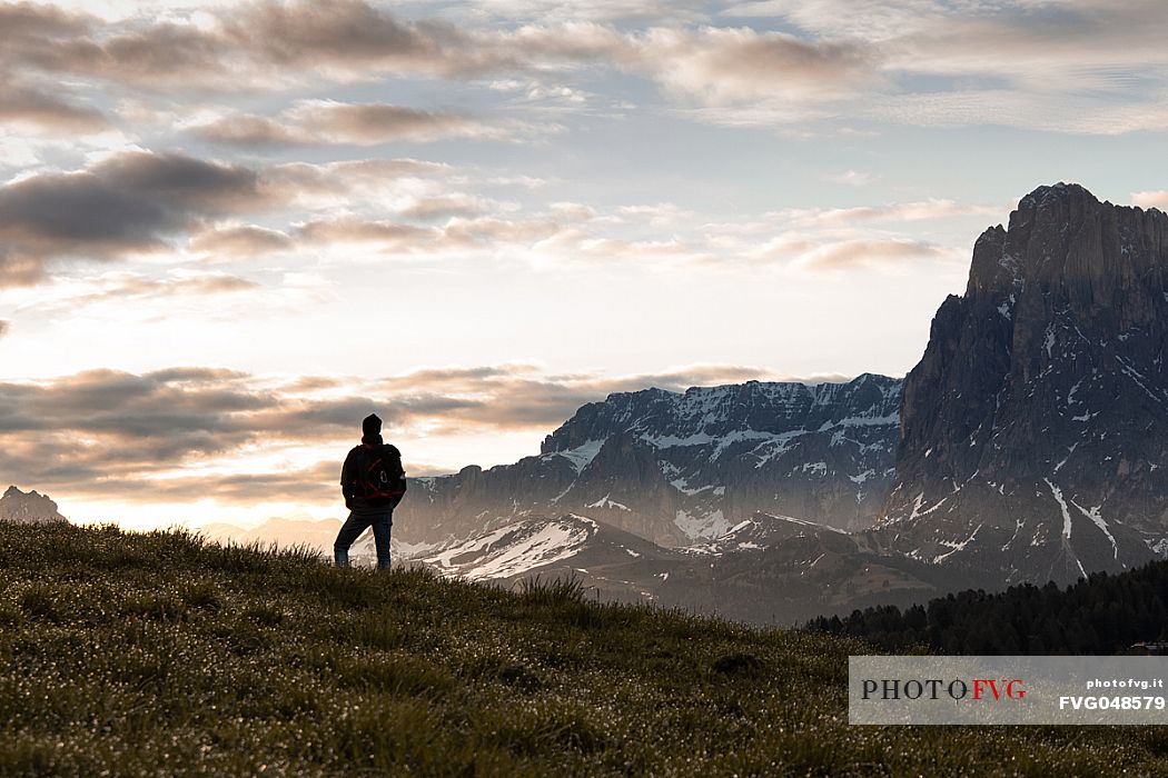 A trekker standing on the slope of a mountain at sunrise with Sella and Sassolungo mountains in the background, Seiseralm, dolomites, Trentino Alto Adige, Italy, Europe