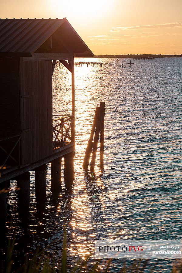 Sunset in the Sacca degli Scardovari, Delta del Po natural park, Rovigo, Veneto, Italy