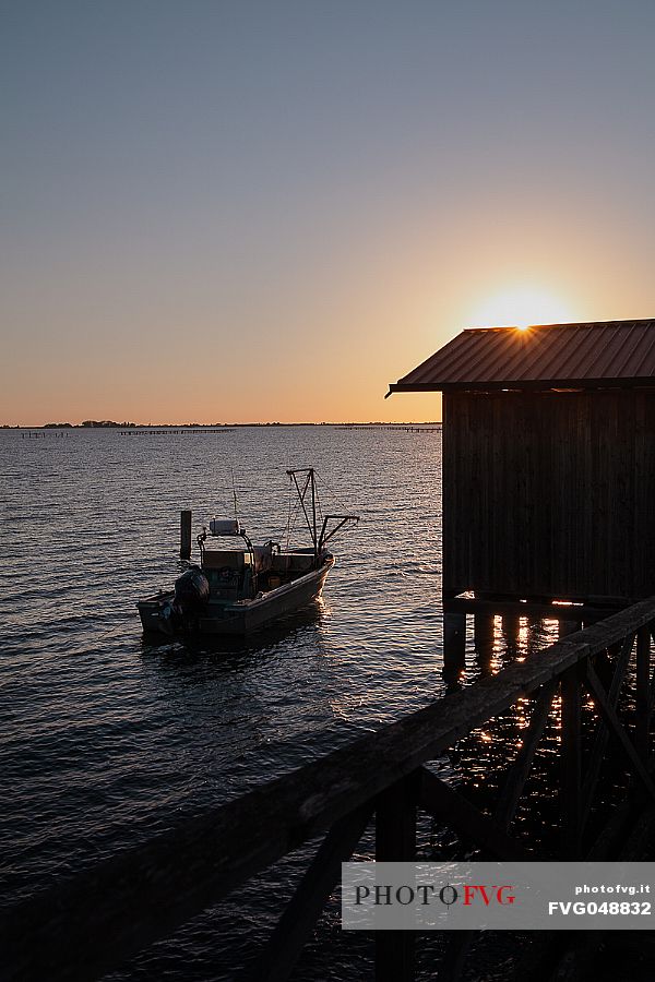 Sunset with fisher boat in Sacca degli Scardovari, Delta del Po natural park, Rovigo, Italy, Europe