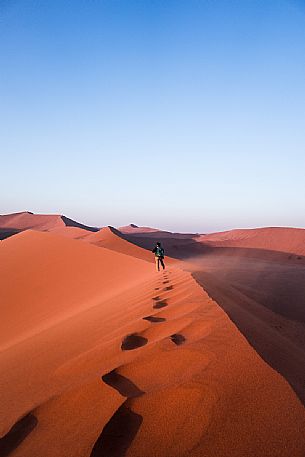 A person walking on the top of Dune 45, Namib Naukluft National Park, Namibia, Africa A person walking on the top of Dune 45, Namib Naukluft National Park, Namibia, Africa