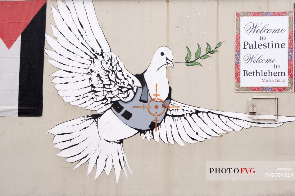 Dove, Peace Symbol on the walls of Bethlehem, Israel