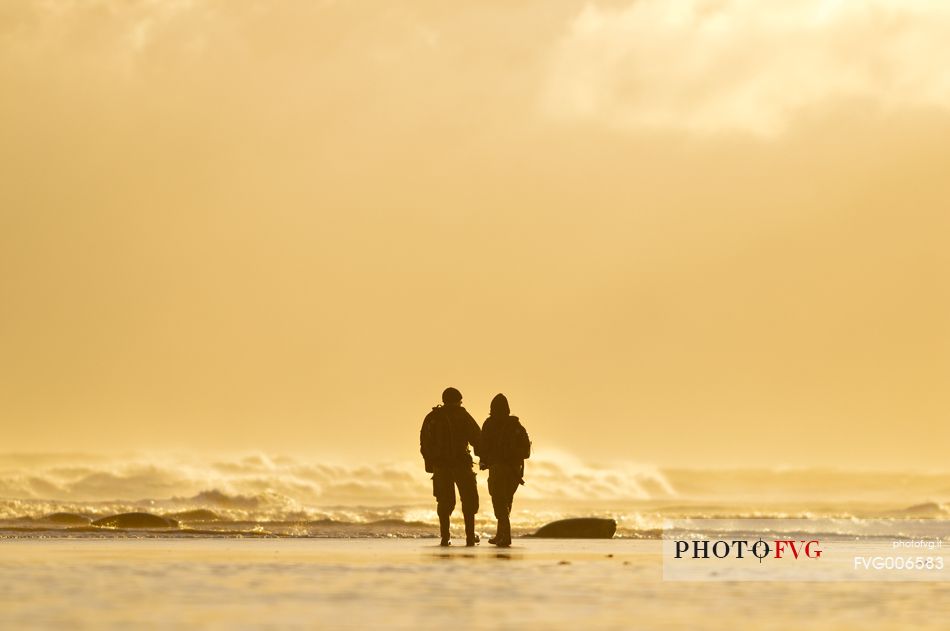 the balance between man, animal and sea