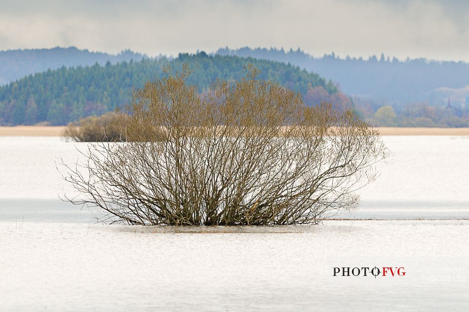 The mysterious lake Cerknica appears and disappears depending on the abundance of water