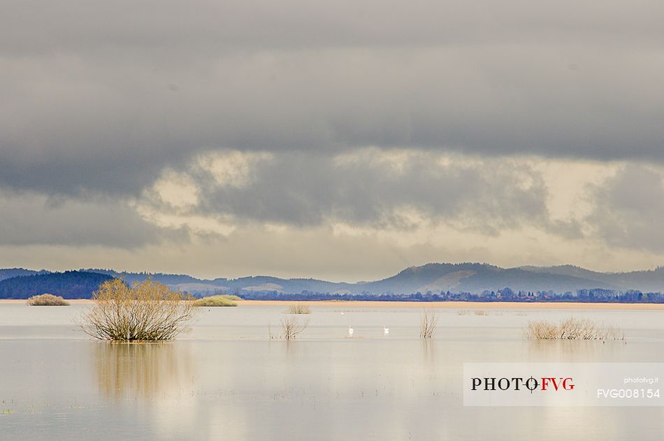 The mysterious lake Cerknica appears and disappears depending on the abundance of water