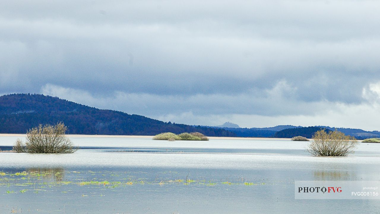 The mysterious lake Cerknica appears and disappears depending on the abundance of water