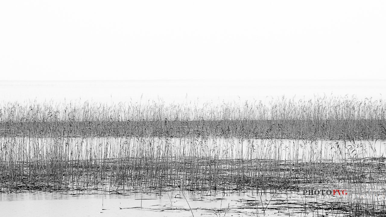 The mysterious lake Cerknica appears and disappears depending on the abundance of water