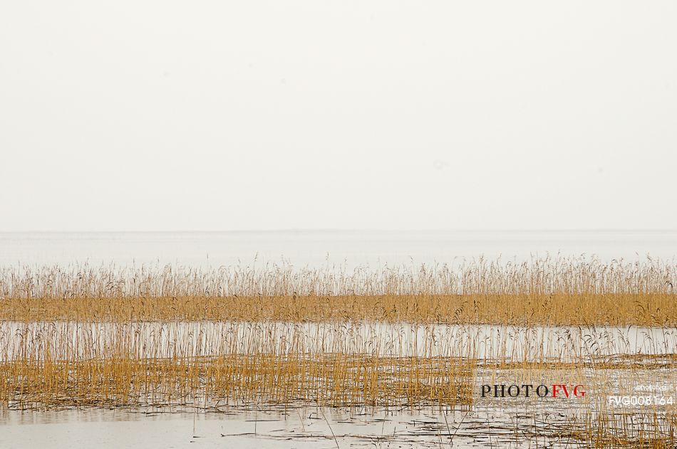 The mysterious lake Cerknica appears and disappears depending on the abundance of water