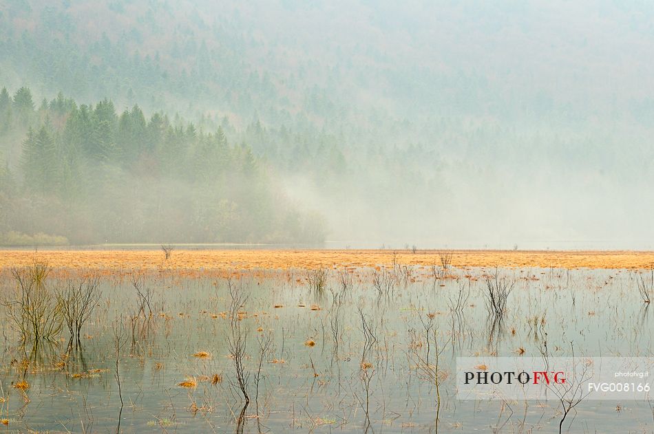 The mysterious lake Cerknica appears and disappears depending on the abundance of water