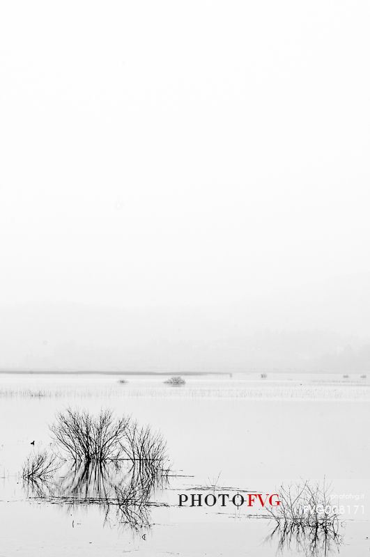 The mysterious lake Cerknica appears and disappears depending on the abundance of water