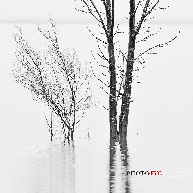 The mysterious lake Cerknica appears and disappears depending on the abundance of water