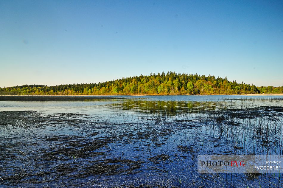 The mysterious lake Cerknica appears and disappears depending on the abundance of water