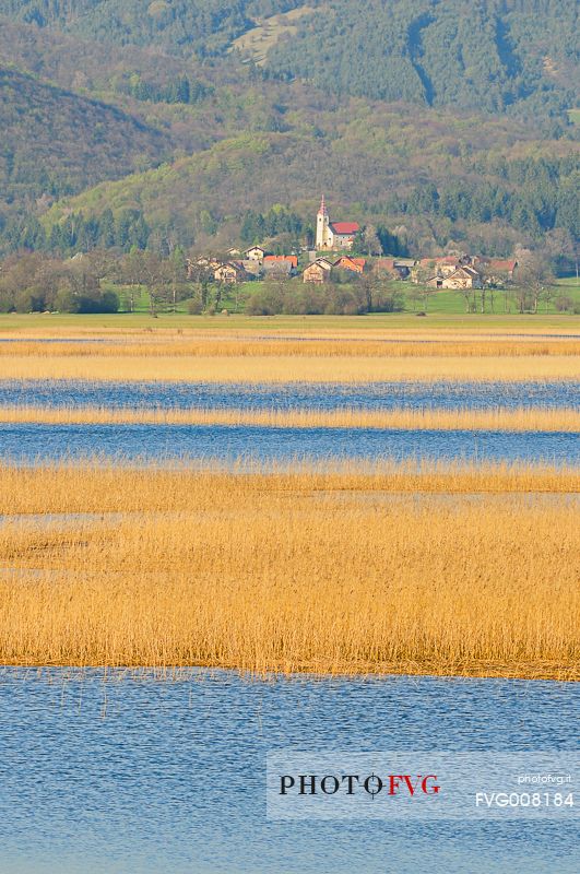 The mysterious lake Cerknica appears and disappears depending on the abundance of water