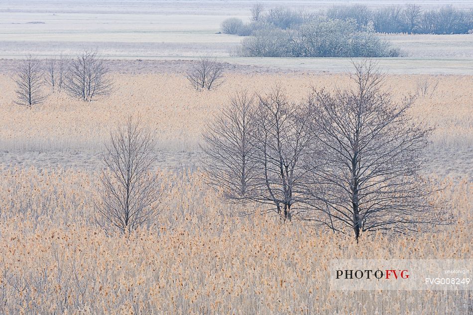 The mysterious lake Cerknica appears and disappears depending on the abundance of water