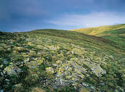 High quotes alpine fields