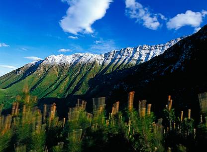 Early snowfall whitens the Musi mountains