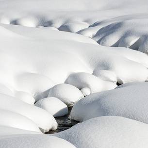 snow creates forms in the landscape