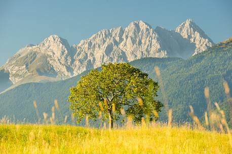 the chains of Coglians mountains above meadows of Ovaro