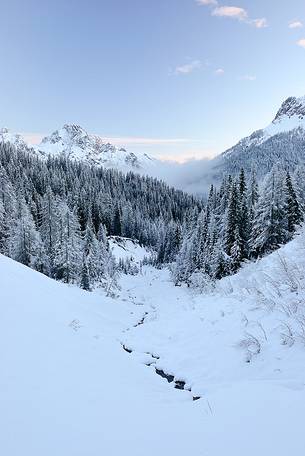 view to the Dolomites Pesarine