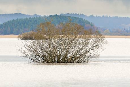 The mysterious lake Cerknica appears and disappears depending on the abundance of water