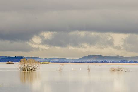 The mysterious lake Cerknica appears and disappears depending on the abundance of water