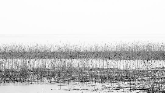 The mysterious lake Cerknica appears and disappears depending on the abundance of water