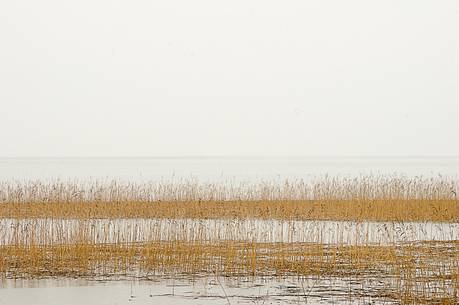 The mysterious lake Cerknica appears and disappears depending on the abundance of water The mysterious lake Cerknica appears and disappears depending on the abundance of water