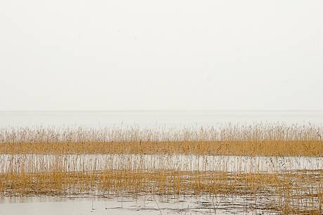 The mysterious lake Cerknica appears and disappears depending on the abundance of water