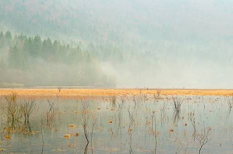 The mysterious lake Cerknica appears and disappears depending on the abundance of water The mysterious lake Cerknica appears and disappears depending on the abundance of water