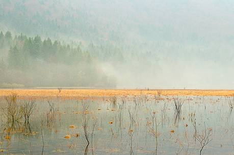 The mysterious lake Cerknica appears and disappears depending on the abundance of water