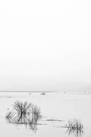 The mysterious lake Cerknica appears and disappears depending on the abundance of water