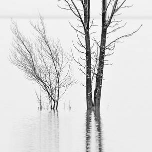 The mysterious lake Cerknica appears and disappears depending on the abundance of water