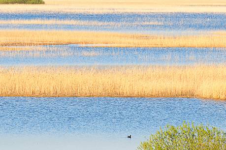 The mysterious lake Cerknica appears and disappears depending on the abundance of water