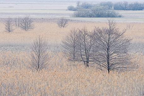 The mysterious lake Cerknica appears and disappears depending on the abundance of water