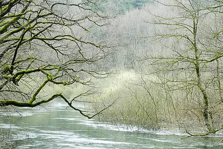 The wonderful  forest of Rakov Skocjan in the spring will turn bright green thanks to the abundance of water that flows from springs