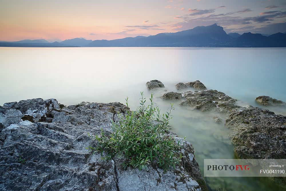 A coastal view at summer sunset from Baia delle Sirene on the eastern coast of Garda Lake, in the background the Mount Pizzocolo, Verona, Veneto, Italy, Europe
