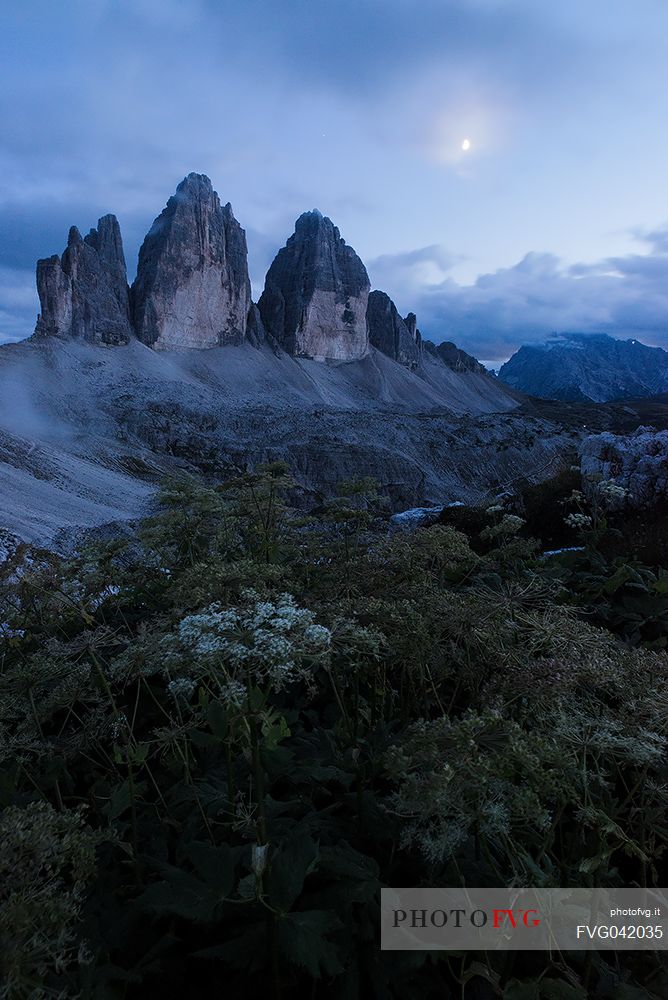 Moonlight on the Tre Cime di Lavaredo peaks in a summer evening, dolomites, Trentino Alto Adige, Italy, Europe