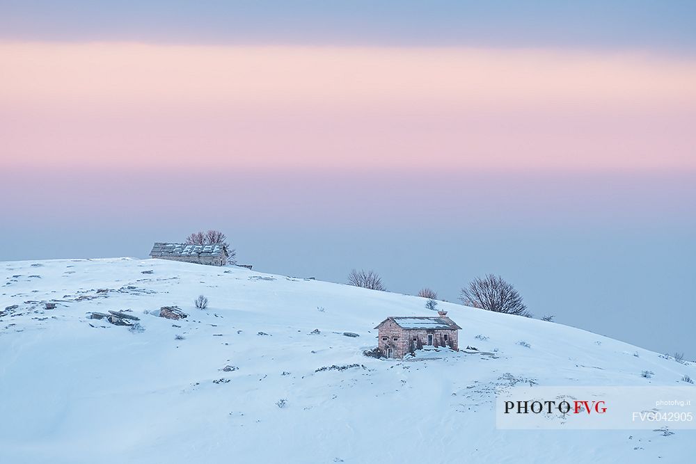 A quietly and cold dawn of winter in Lessinia, looking toward Bagorno hut on the boundary of Lessinia Natural Park, Veneto, Italy, Europe