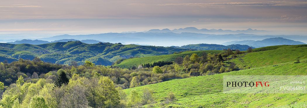 One spring morning the greenery is the master and from Conca dei Parpari looking towards the south east you can see the Colli Euganei emerging from the plain. We are just outside the Lessinia Natural Park.