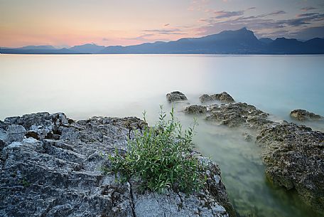 A coastal view at summer sunset from Baia delle Sirene on the eastern coast of Garda Lake, in the background the Mount Pizzocolo, Verona, Veneto, Italy, Europe