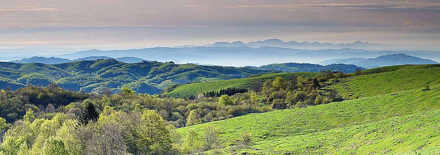 One spring morning the greenery is the master and from Conca dei Parpari looking towards the south east you can see the Colli Euganei emerging from the plain. We are just outside the Lessinia Natural Park.