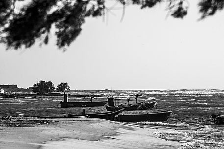 Fishing boat at berth, Taranto, Apulia, Italy, Europe Fishing boat at berth, Taranto, Apulia, Italy, Europe