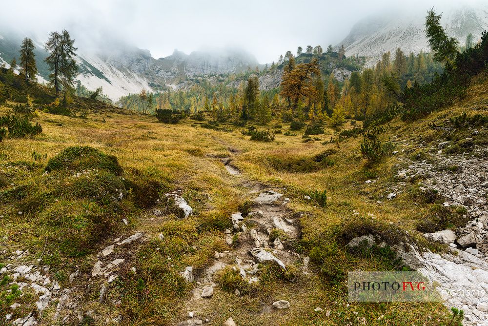 Autumn is coming on Campuross meadows