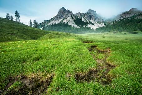 Green fields are covering all the landscape on Camporosso